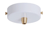 Ceiling Cup Options, multiple holes