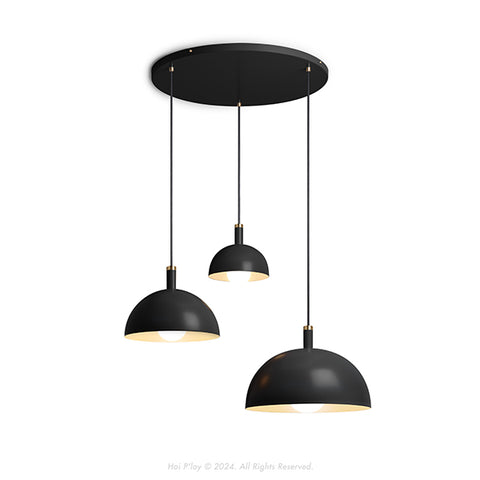 Signature Black Darwin Dome Pendant