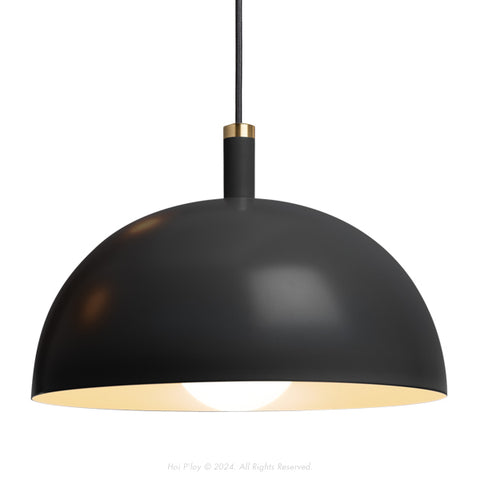 Signature Black Darwin Dome Pendant