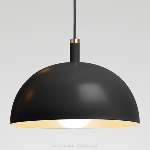 Signature Black Darwin Dome Pendant
