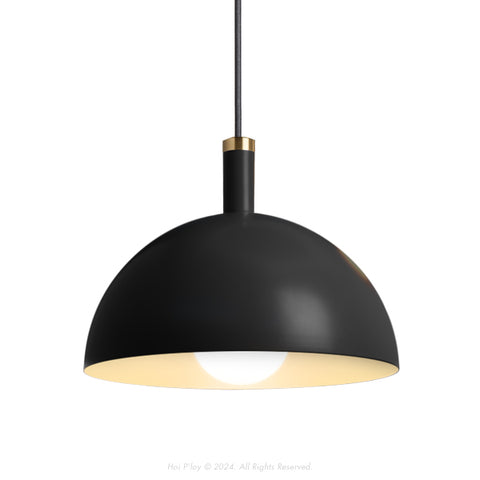 Signature Black Darwin Dome Pendant