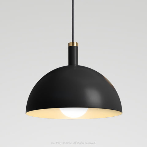 Signature Black Darwin Dome Pendant