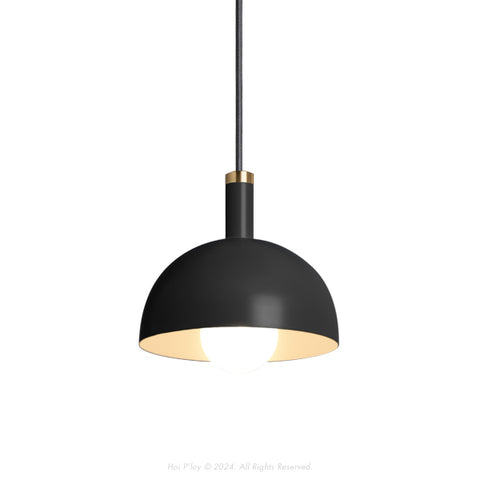 Signature Black Darwin Dome Pendant