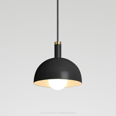 Signature Black Darwin Dome Pendant