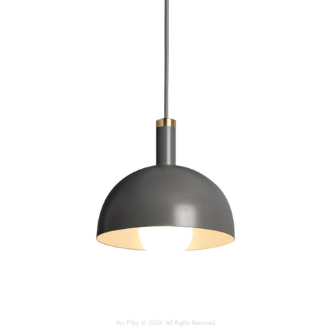 Signature Charcoal Grey Darwin Dome Pendant