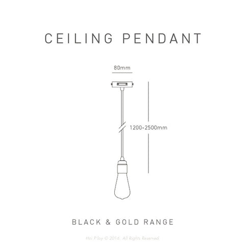 Black & Gold Ceiling Pendant Light