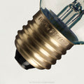 Small Globe Vertical Spiral Filament Bulb