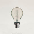 Victorian Zigzag Filament Bulb