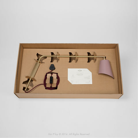 Winter Blush & Brass Slim Shady Wall Light