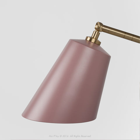 Winter Blush & Brass Slim Shady Wall Light